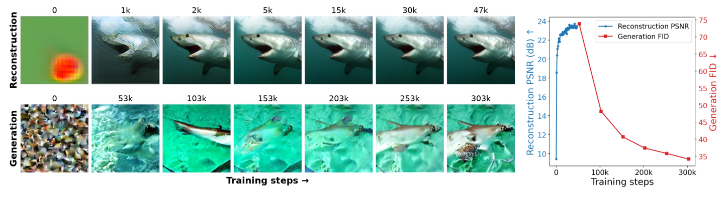Asymmetric learning dynamics between reconstruction and generation