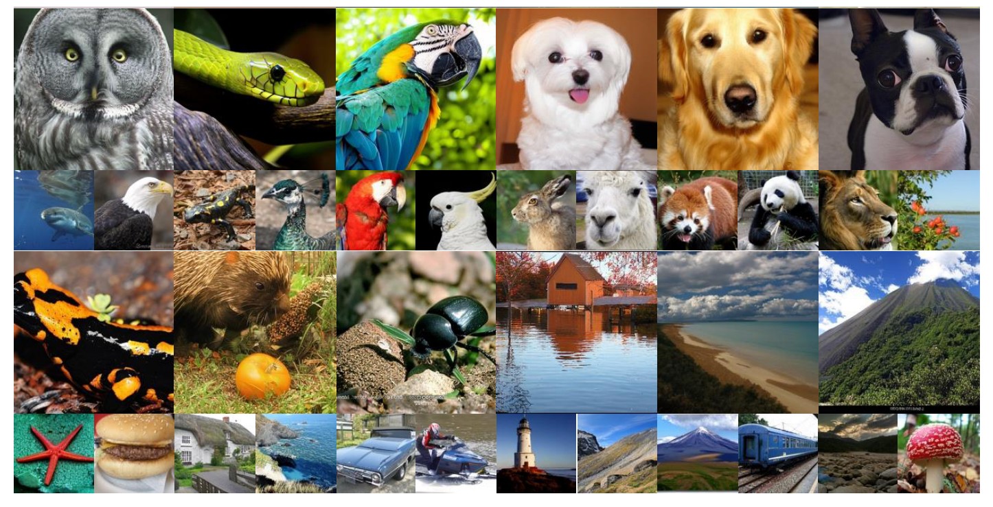 Class-to-image samples from EiT and EAR